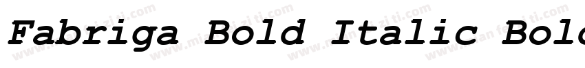 Fabriga Bold Italic Bold字体转换